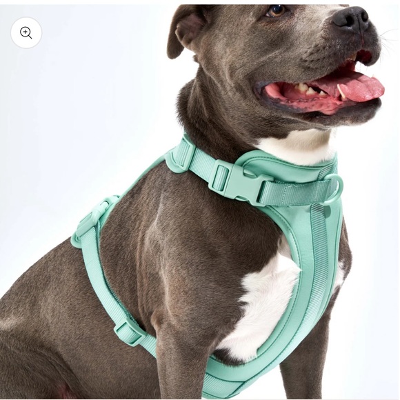 S- Wild One Dog Collar, Leash, Harness and Poop Bag Carrier NWT Lgt Green - Picture 2 of 2